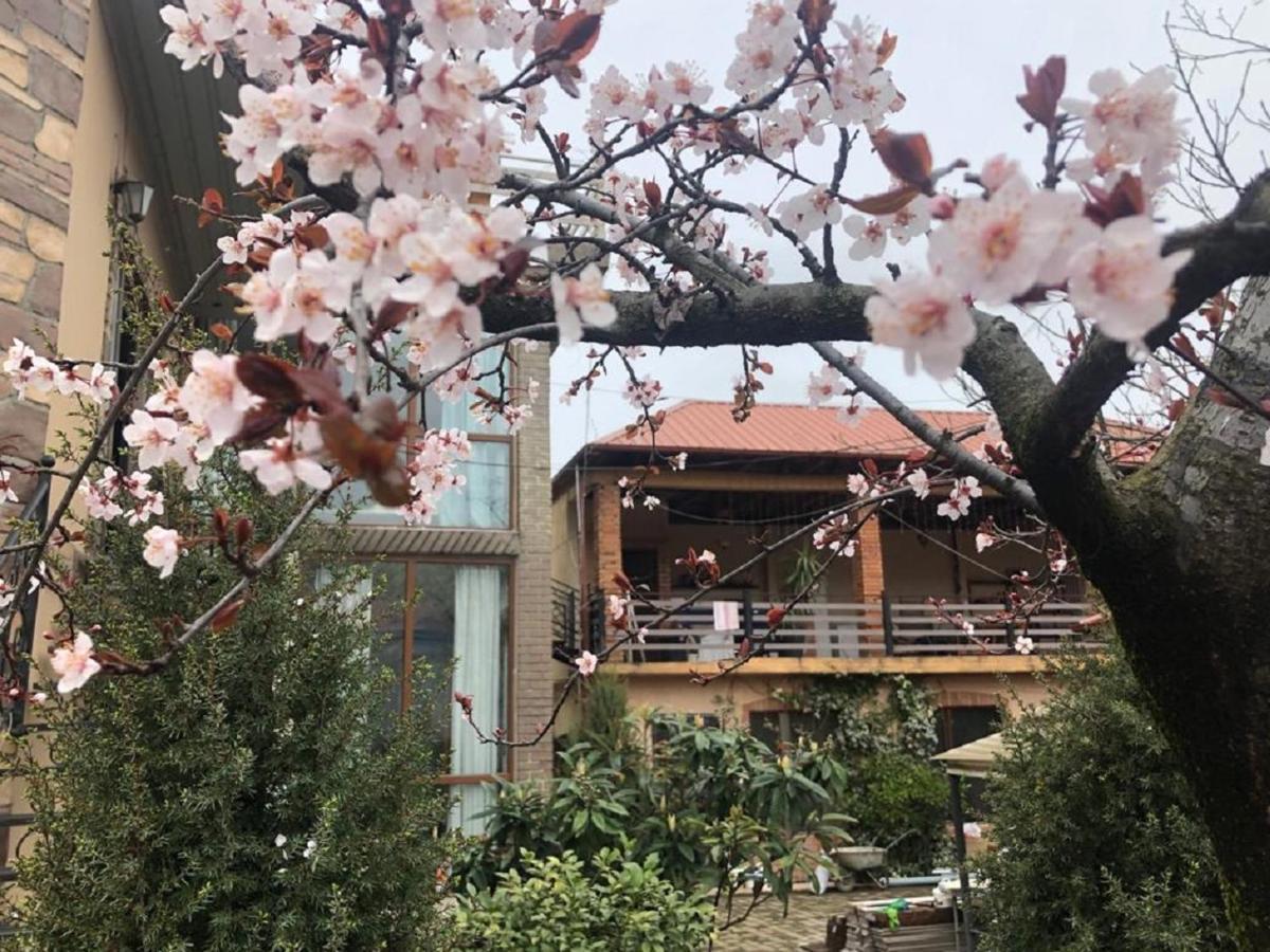 Batumi Wonderland Guest House Exterior foto